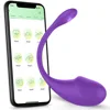 Télécommande App-oeuf-violet-sac
