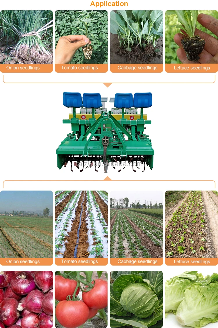 4 rows tractor driven bacco hemp vegetables seedling transplanting machines for farmer