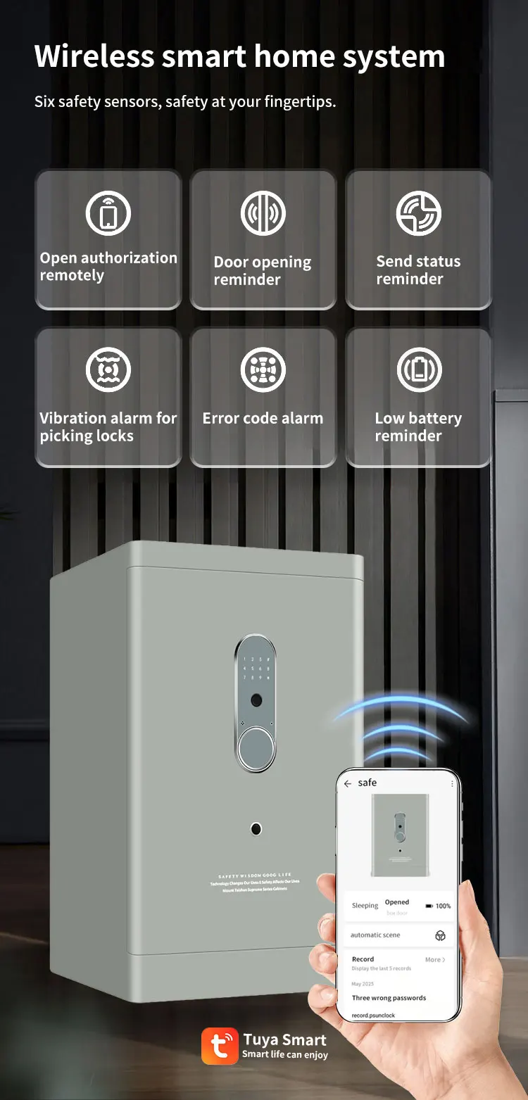 CEQSAFE Home Office All-Steel Anti-Theft Safe Fingerprint Password & TUYA APP WIFI SAFE BOX factory