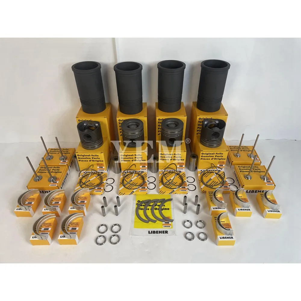 R914 Overhaul Kit With Valve Bearings Piston Rings Liner for Liebherr