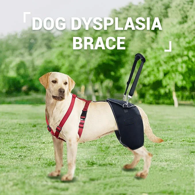 Dog Hip Support For Hip Dysplasia Patellar Hip Inflammation Joint Pain Strap