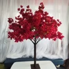 Rose Red 01