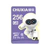 256GB