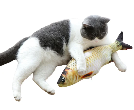8.1.png