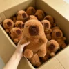 14 peluche (contattaci per il catalogo con oltre 6000 modelli)