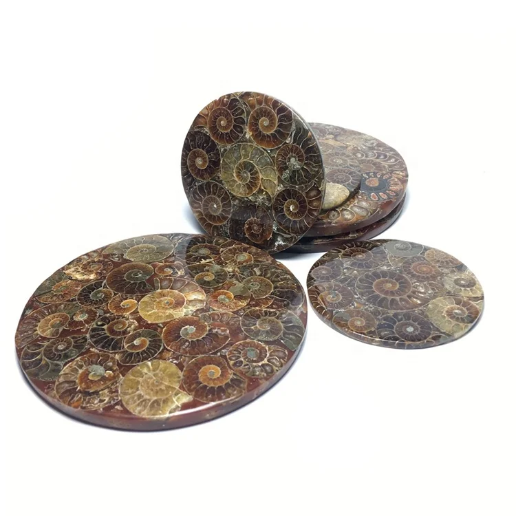 Ammonites Conch Plate Snail Fossil Mineral Stone Cup Coaster - Buy Snail  Slices,Conch Plate Snail Fossil,Cup Coaster Product on 