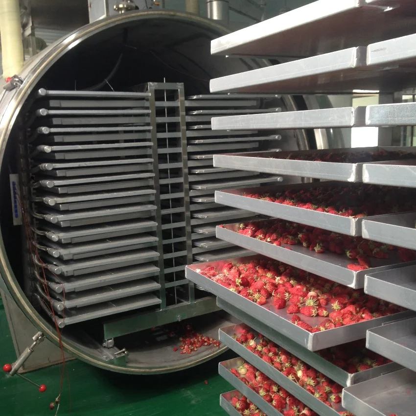 Automatic Dry Fruit Processing Freeze Dryer Factory-Made Electric Heating Equipment Good Price for Home Use New Used Condition