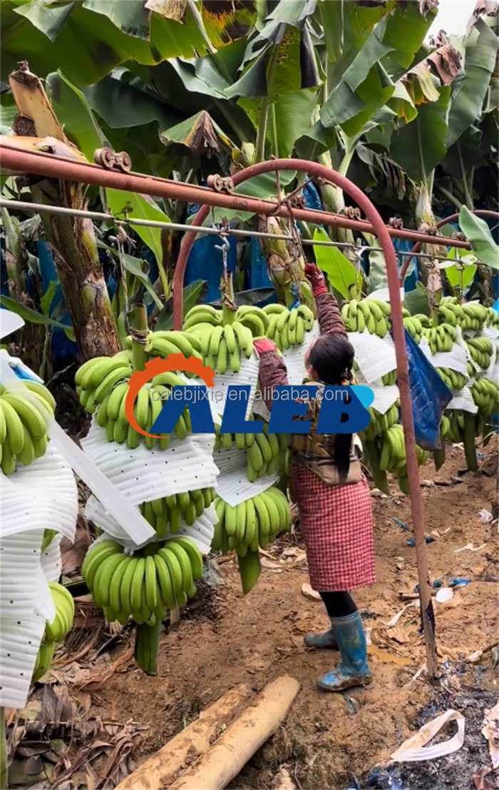 High Productivity Banana Rail Conveyor - Ropeway Transport