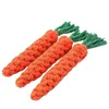 The carrot is 22cm long