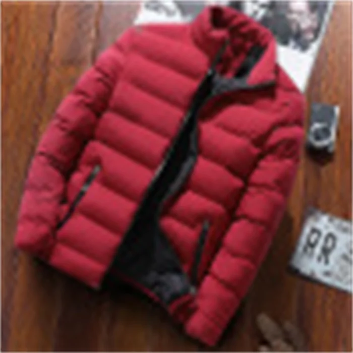 High Quality Winter Man Down Stand Collar Stylish Fleece Thick Warm Coat Streetwear Zipper Outdoor Sport Jacket For Men_voghion.com