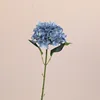 ภาพวาดสีน้ำมันสีฟ้า