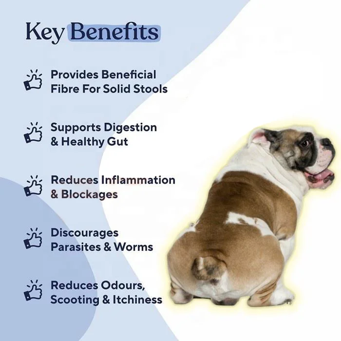 Custom Multivitamin Chews Anal Gland Support For Dogs Gut Health Digestion Supplements Immune