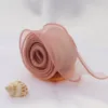 anemone pink