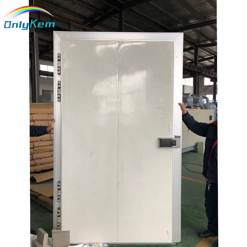 Chiller Room Door/ Cold Storage Replaced Door/ Cold Room Hinged Door