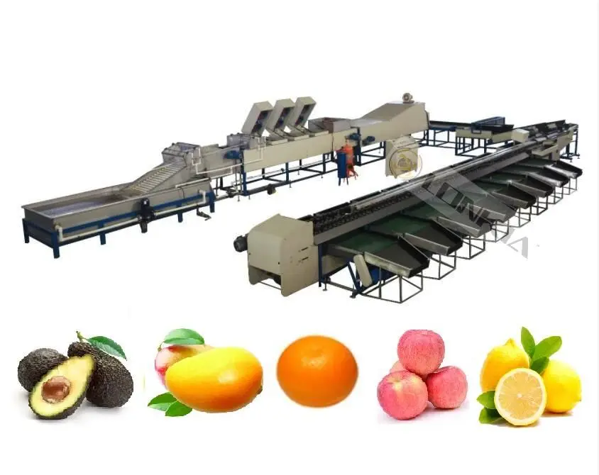 LONKIA Automatic carrot Grading Size and Cleaning machine\ carrot washing grading machines \carrot sorting machine manufacture