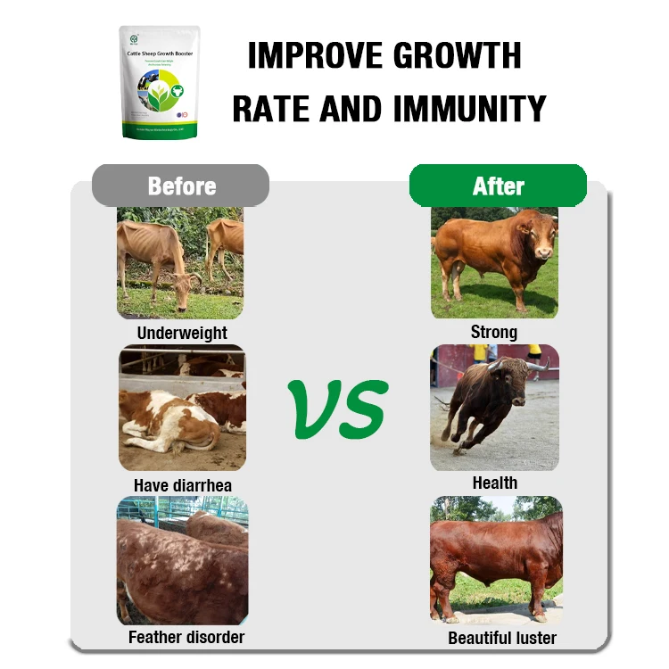 Sheep and Goat Fattening Additives for Quick Growth and Weight Gain Animal Feed Grade Premix Vitamins