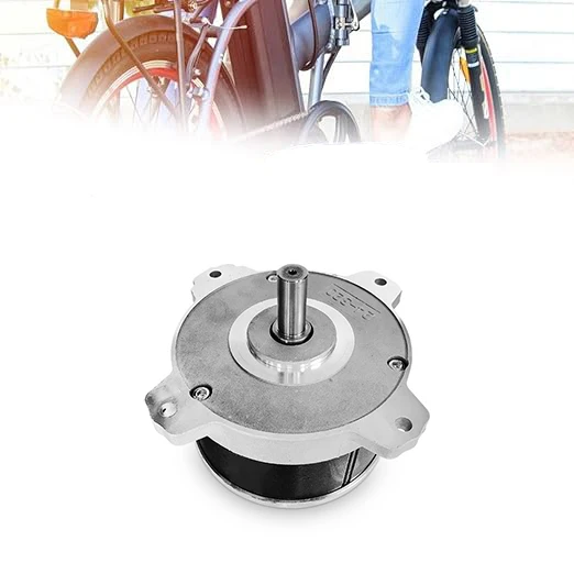 3700rpm 500W 750W  1000W 24V 36V 48V 220V Brushless DC Motor for Lawn Mower