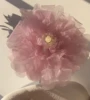 Rosa fumo