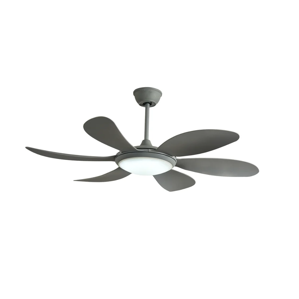 Indoor 220v Giant Ceiling Fan Light 