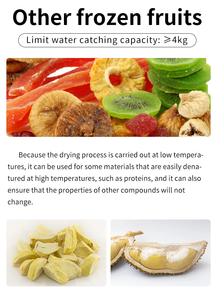 Home Lyophilization Homemade Food Freeze Dryer Household Vacuum Pump