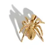 PD00311-1araña dorada