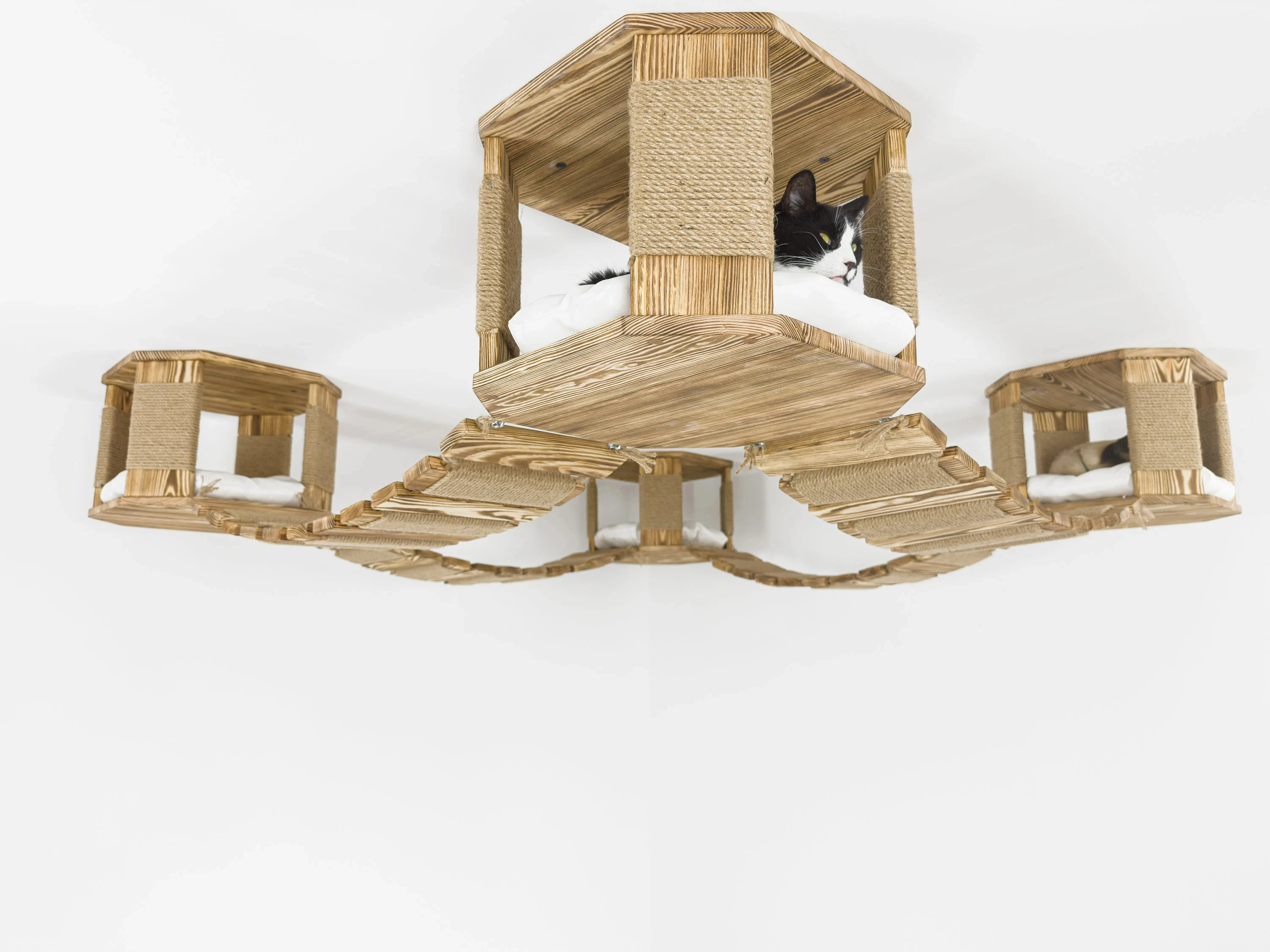 Cat Ceiling Playground Wood Furniture Houses Bridges Wall Bed Shelves ...