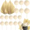 20 pcs beige foam ball fan set