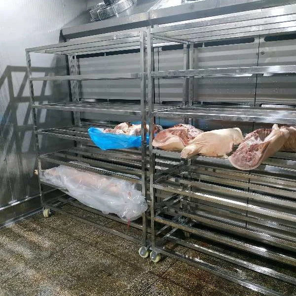 Advanced thawing chamber systems for modern food processing and cold chain applications