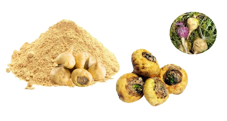 Sexual Enhancement Private Label Maca Root Extract Powder Maca Powder