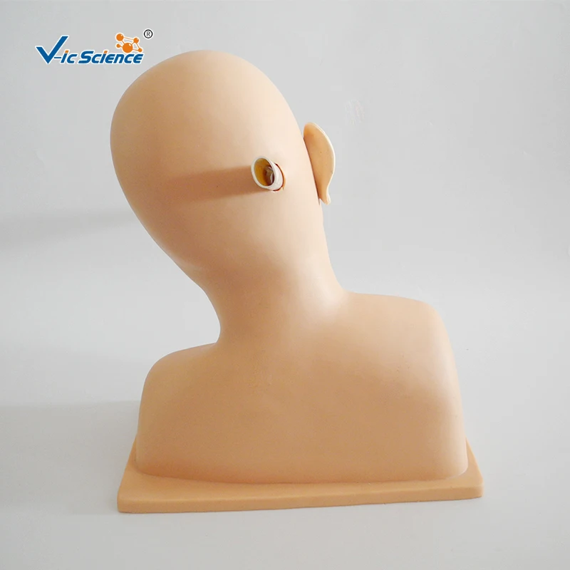 Advanced Ear Diagnostic Clinic  Training Ear Diagnostic Simulator for Medical Teaching
