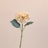 สีแชมเปญ
