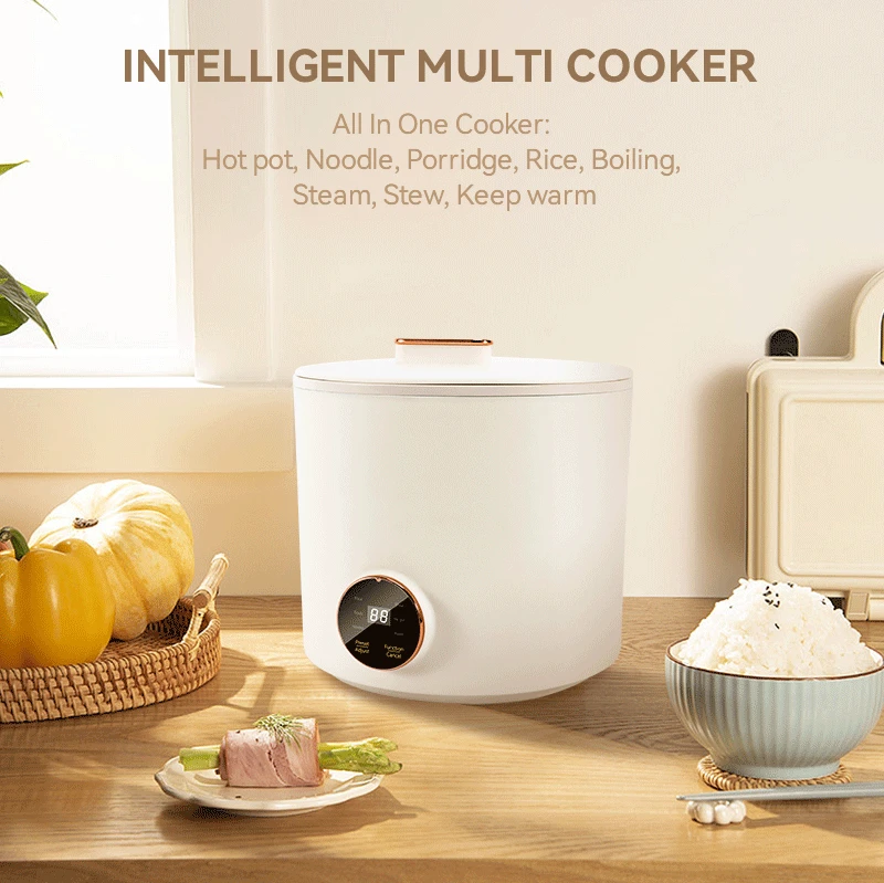 1.6 Litre Electric Multi Cooker Ceramic Stew Cup Steam Egg Electric Noodle Cooker Small Hot Pot