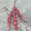 30# color tall branch eucalyptus red