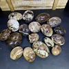 Pierre de palmier en opalite noire