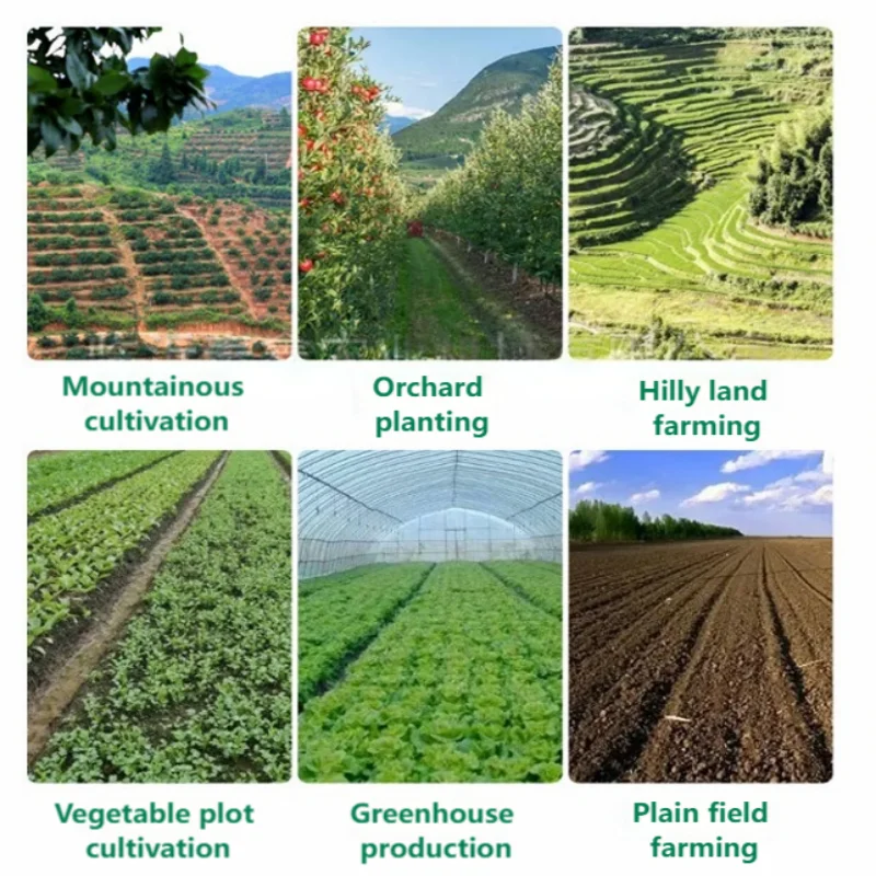 Cheap Manual Seeder Vegetable Transplanter 4 Row 5 Row 6 Row Vegetable Planter Machine New Week Seed Drill  Seeder Transplanter