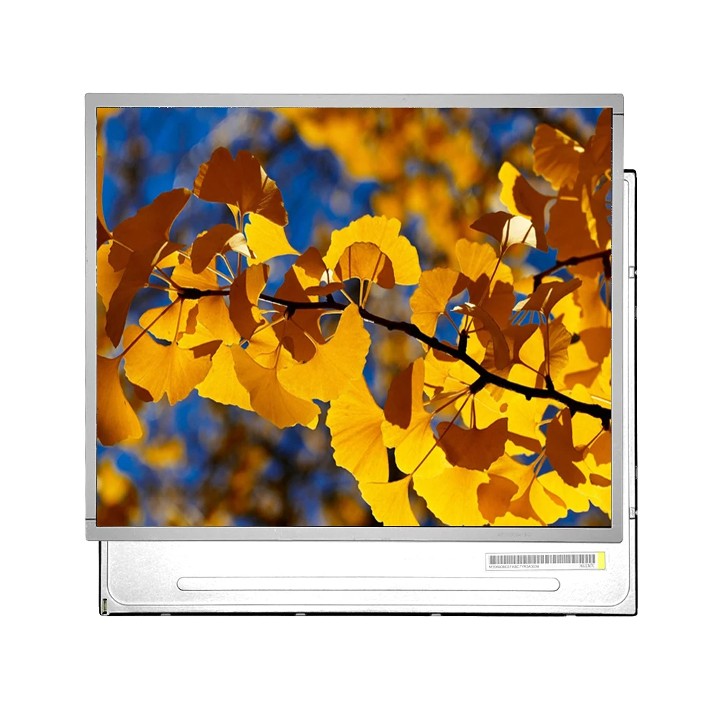 19 inch lcd panel price