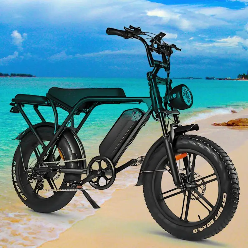 H9 With Front Rack 2024 New Arrival 20" Fat Ebike Low Cost Fat Bike