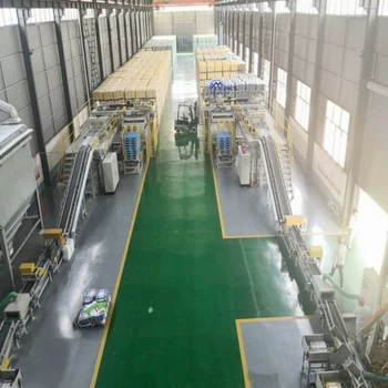 Fully Automatic High Level Position Palletizer for 10-50kg Bags and Cartons