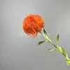 Arancione