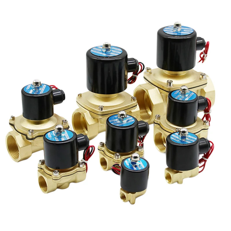 2W Normally Close Electric Brass 12v 24v 220V 1 2 3 Inch Solenoid Valve for Water Control Two Way Magnetic Water Solenoid Valve