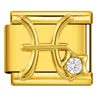 ICJ3630-2-2 Dorado