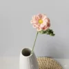 rosa2