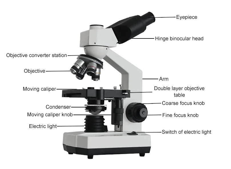 Professional Laboratory Teaching Biological Microscope with LED Light Research Electron Compound Microscope
