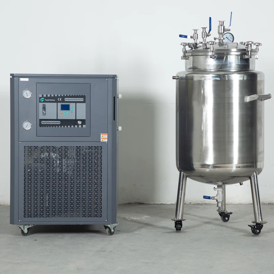 DLSB-50/80 DLSB Series Refrigerator Circulator Cryogenic Coolant Circulation Pump Alcohol Chiller Machine