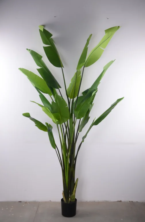 Folhas Verdes Da Planta Strelitzia Artificial De Plástico Decorativo  Árvores De Folhas De Bananeira Canna Bonsai Planta - Buy Plastic Canna Plant ,Artificial Canna Tree,Banana Tree Artificial Product on 