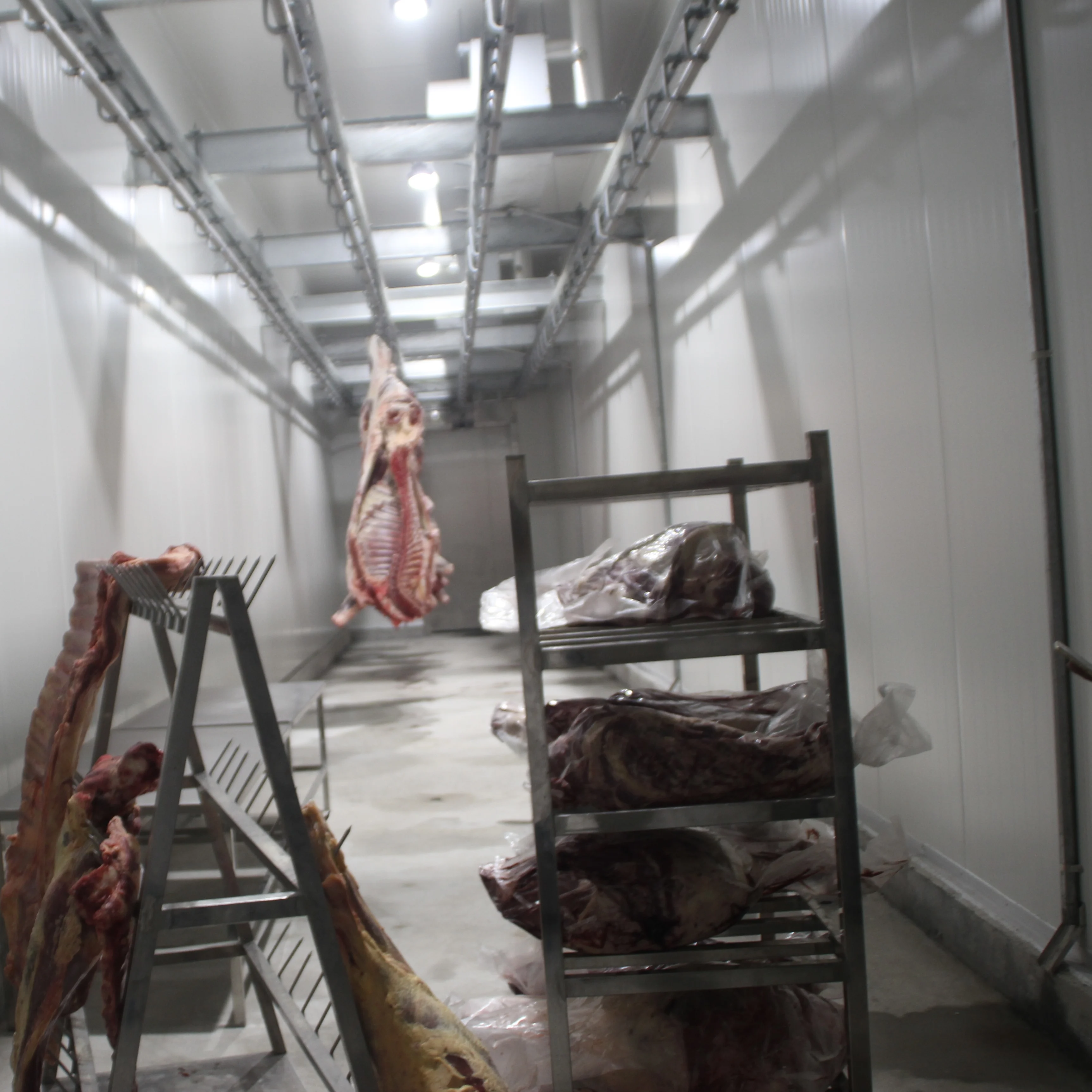 Professional low temperature and high humidity thawing chamber suitable for slaughterhouse operations