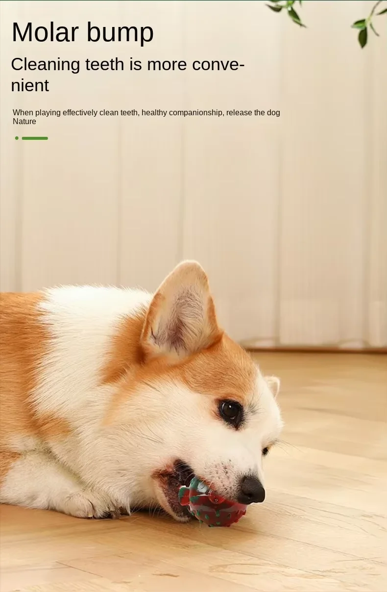 New Christmas Dog Toys Since Hi Teeth Teeth Teeth Sound Toys Toys for Christmas Gifts supplier