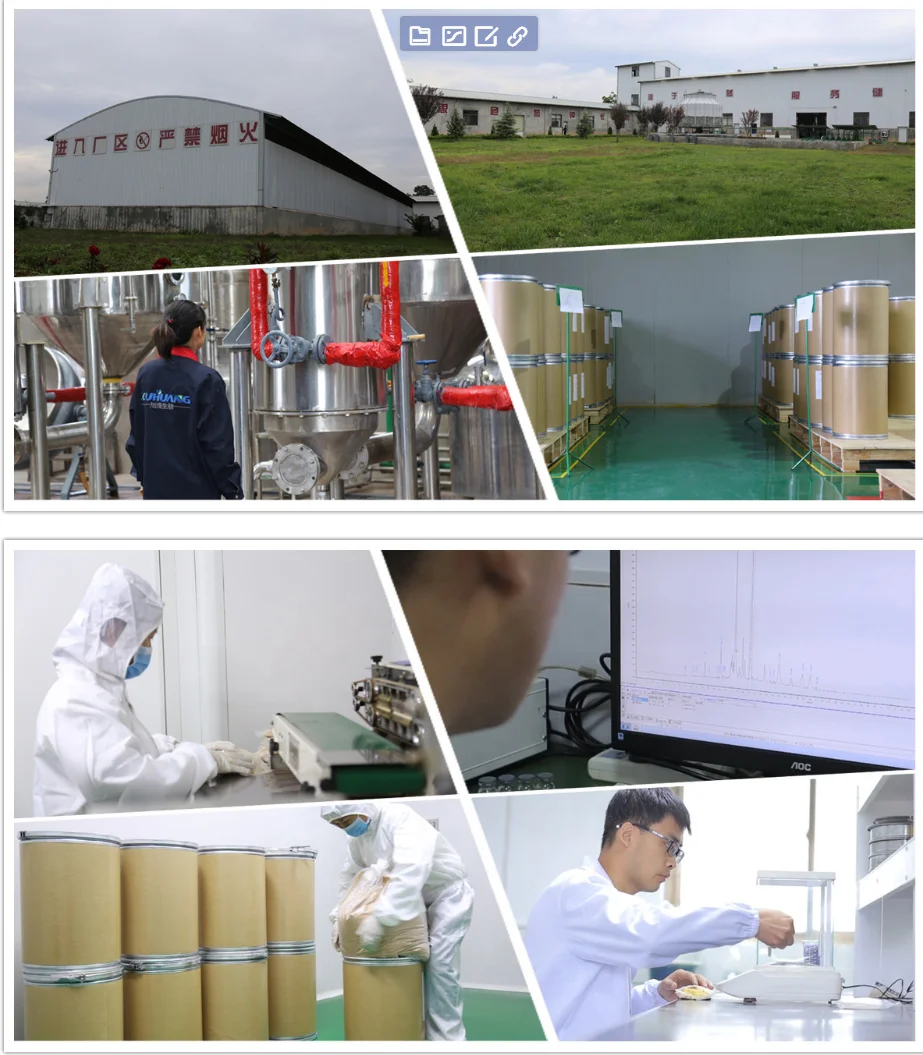 Factory Supply Instant Black Tea Powder