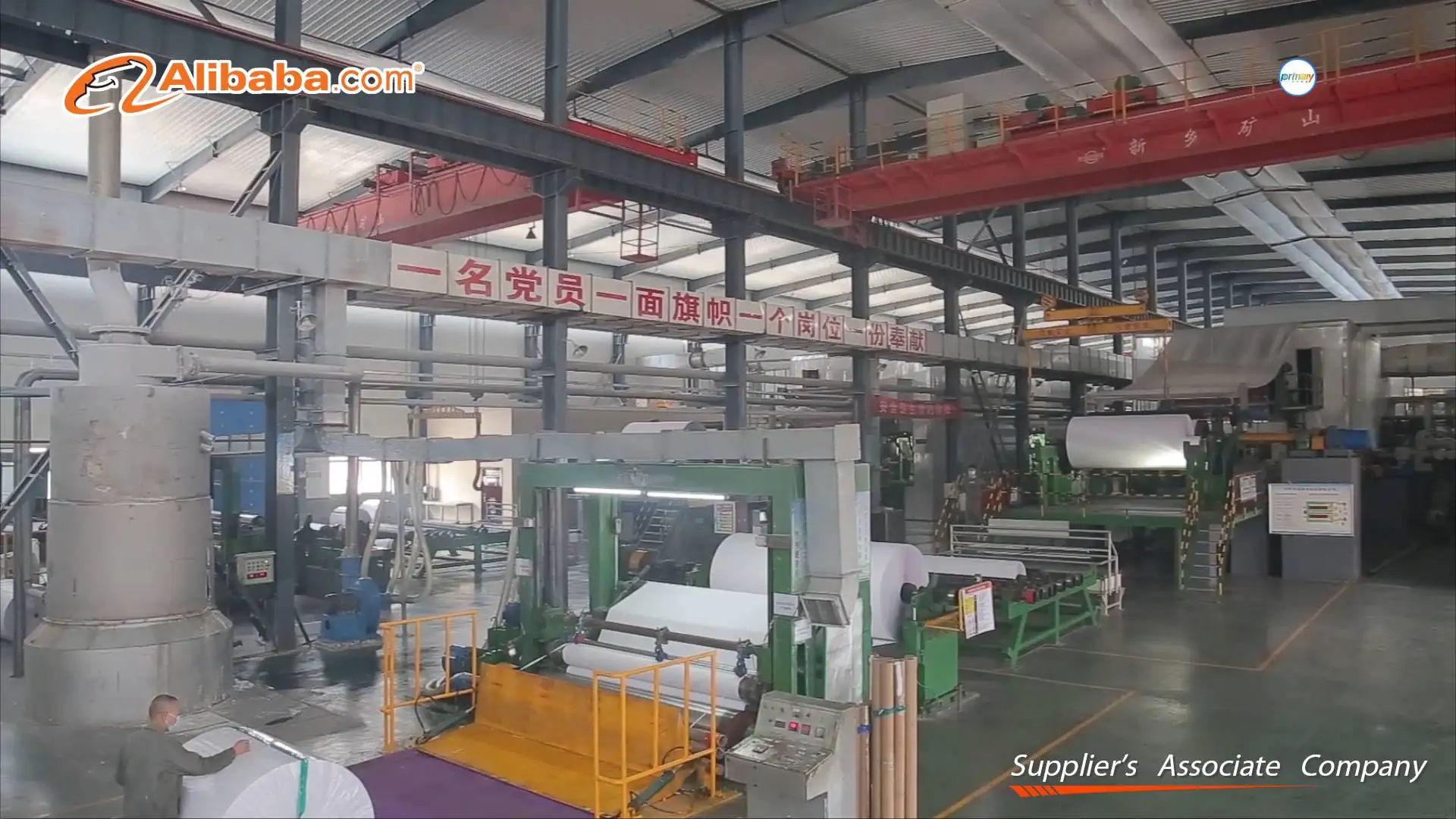 Zhejiang Three Primary Colors Paper Co., Ltd.