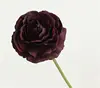 Negro Morado